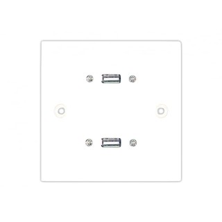 0.15m Single Twin USB Stubplate