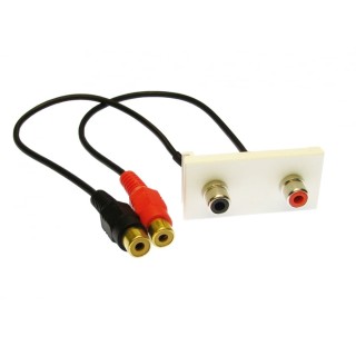 2 RCA AV Module