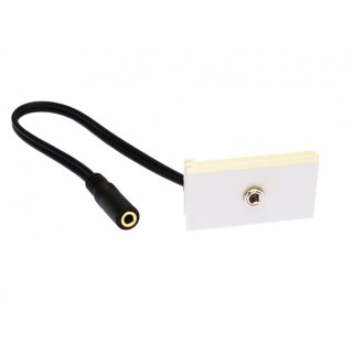 3.5mm Stereo Module
