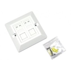 Cat6 Loaded Faceplate