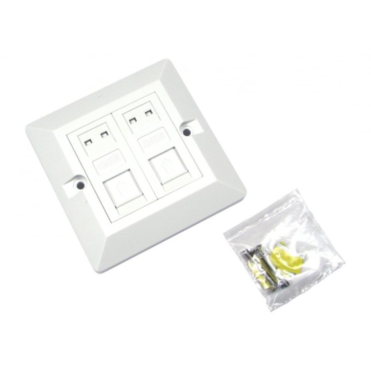 2 Port Cat6 Loaded Faceplate - Single Gang