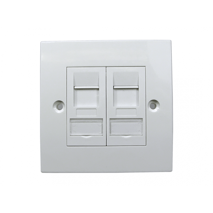 2 Port Cat6a Shielded Loaded Faceplate- Tool-less