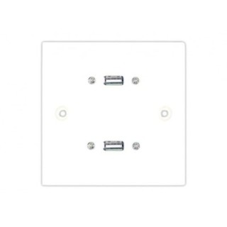 0.15m Single Twin USB Stubplate