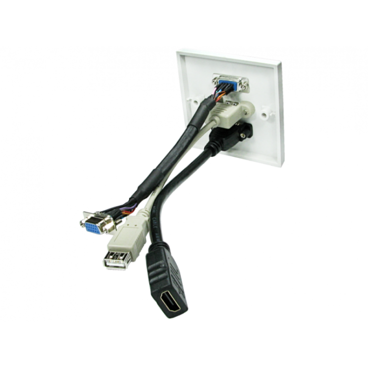 Single HDMI/VGA and USB Faceplate - 10m