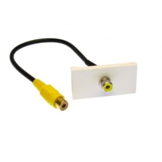Yellow RCA Module