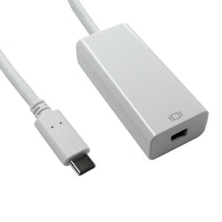 15cm Leaded USB Type C (M) to Mini DisplayPort (F) Adapter