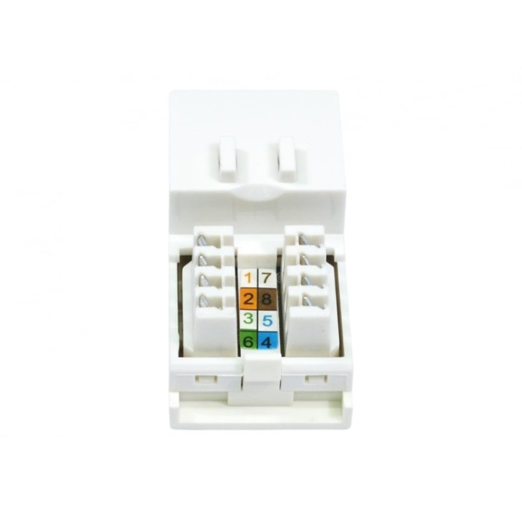 Cat6 Module