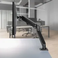 Lindy Single Desktop Gas Arm Display Mount Black