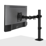 Lindy Single Adjustable Display Mount