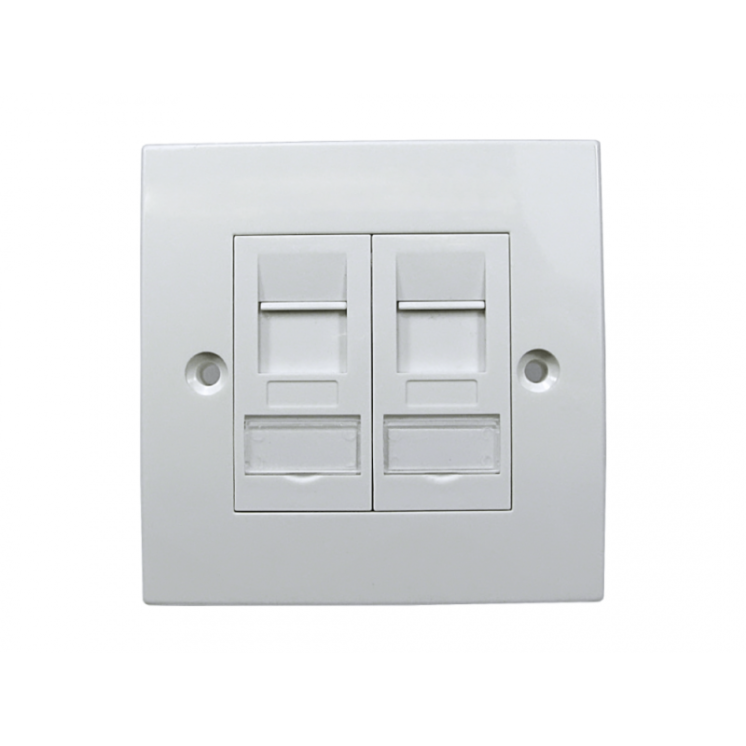 2 Port Cat6a Shielded Loaded Faceplate- Tool-less