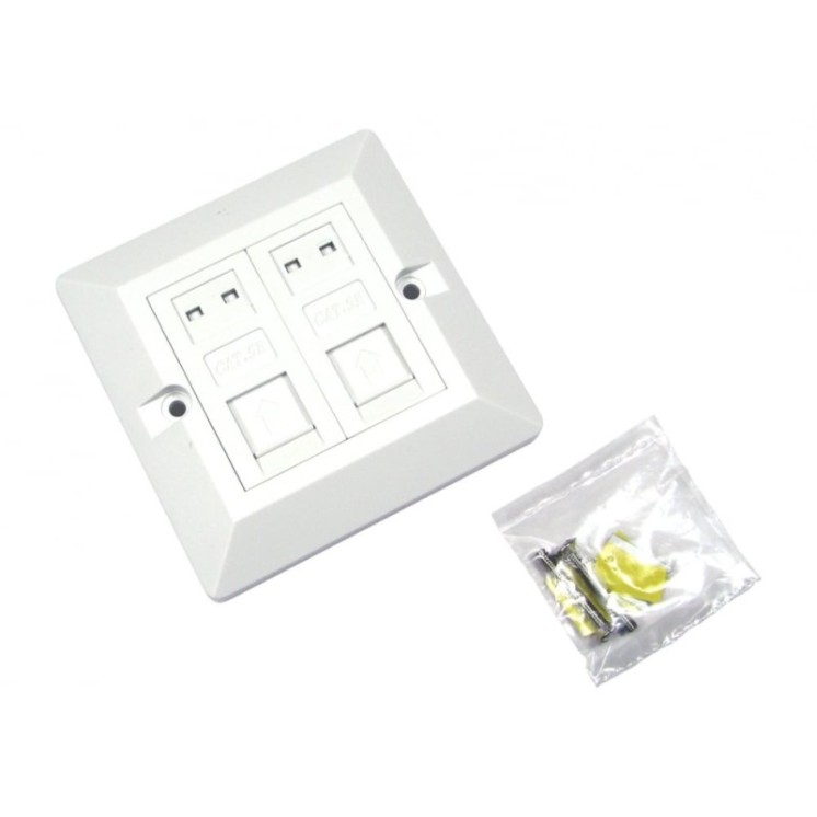 2 Port Cat5e Loaded Faceplate - Single Gang