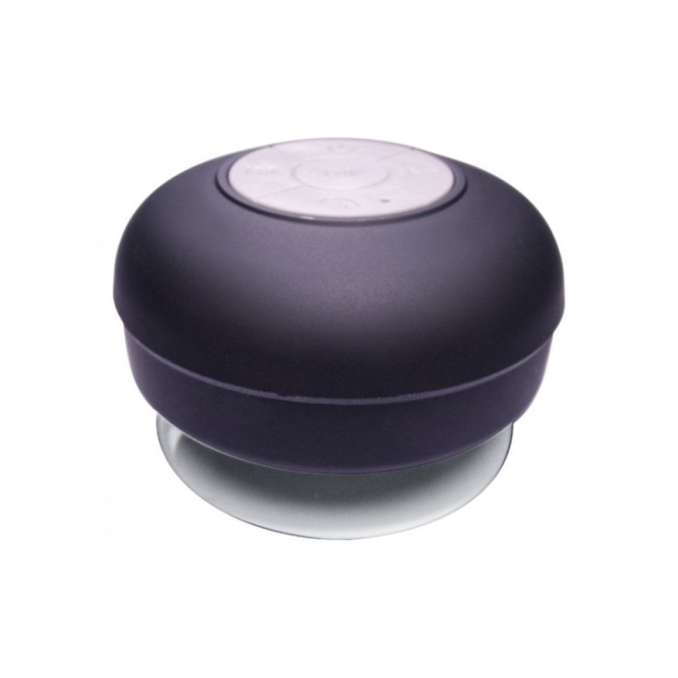 Black True Wireless Speakers